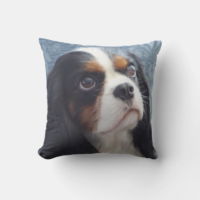 Tri-Colour Cavalier Throw Pillow (Front)