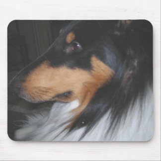 Tri-colour Collie in deep thought Mouse Pad