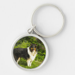 Tri Colour Collie Keychain