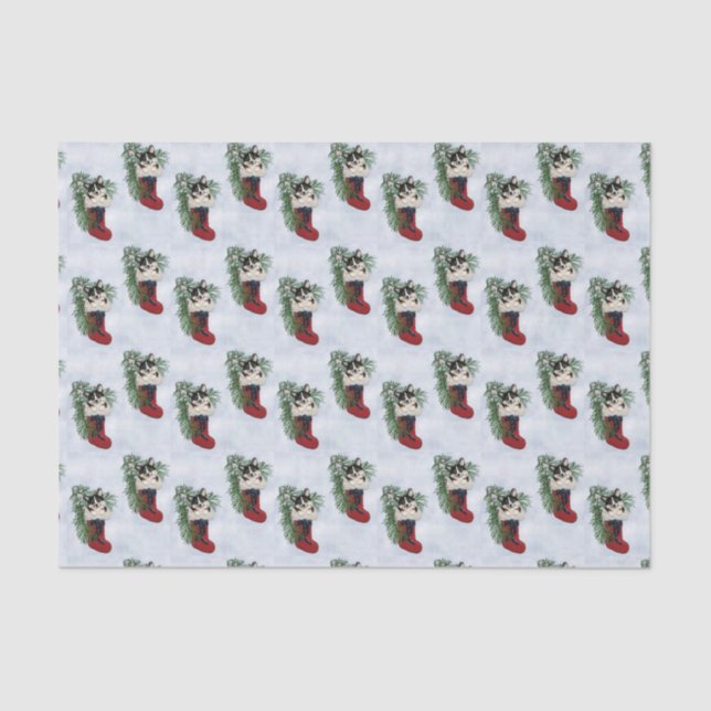 Tri-colour Corgi in Stocking Tissue Paper (Front)