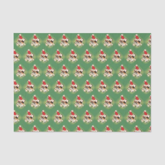 Tri-Colour Corgi Santa Tissue Paper (Front)