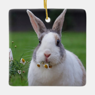 Tri Colour Dutch Dwarf Mini Bunny Rabbit Ceramic Ornament