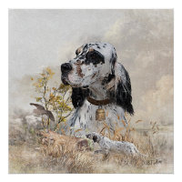 Tri Colour English Setter Art, woodcock Hunting