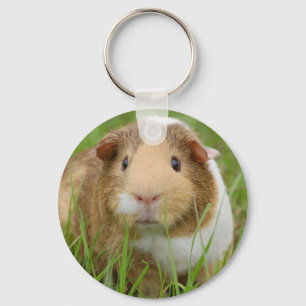 Tri Colour Guinea Pig Keychain