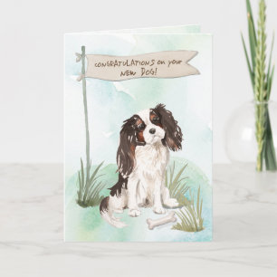 Tri Colour King Charles Spaniel Congrats New Dog Card