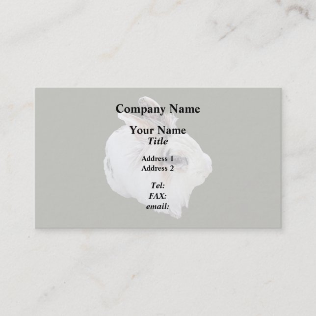 Tri-Colour Lionhead Rabbit Business Card (Front)