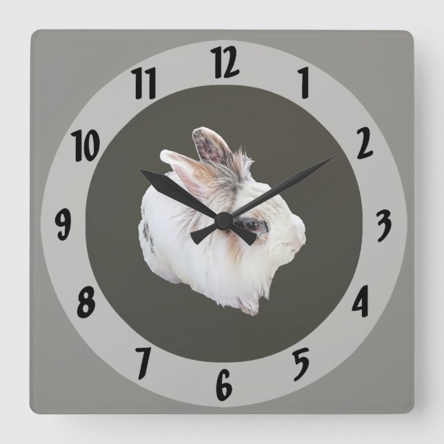 Tri-Colour Lionhead Rabbit Square Wall Clock (Front)