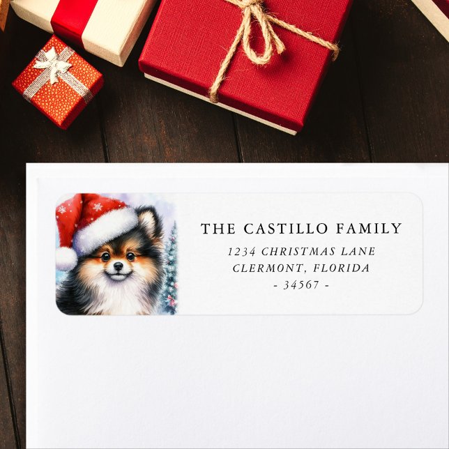 Tri Colour Pomeranian Christmas Return Address (Creator Uploaded)