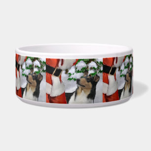 Tri Colour Smooth Collie Christmas Dog Bowl