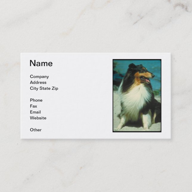 Tri-Coloured Collie Business Card (Front)