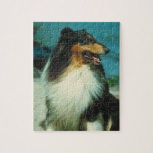 Tri-Coloured Collie Dog Puzzle
