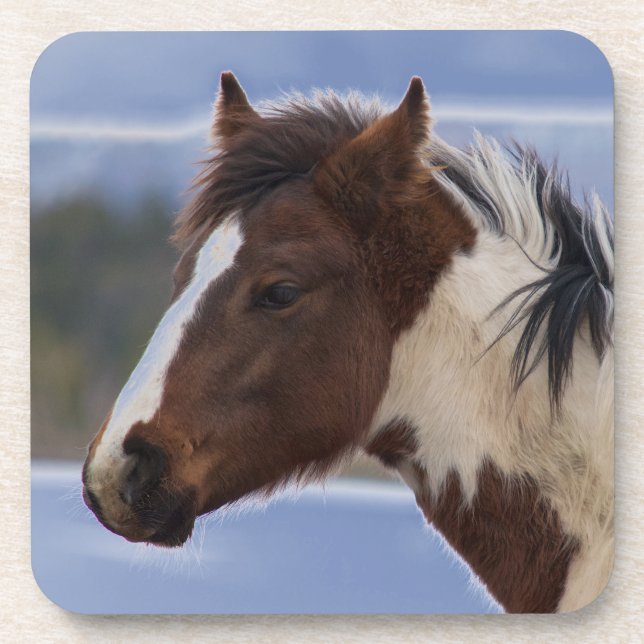 Tri-Coloured Horse Coaster (Front)