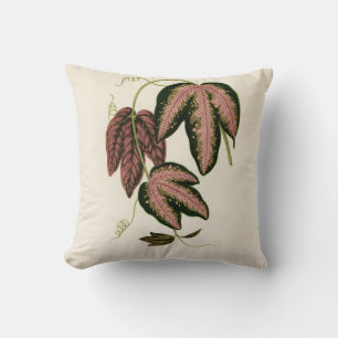 Tri-coloured Passion Vine (Passiflora Trifasciata) Throw Pillow