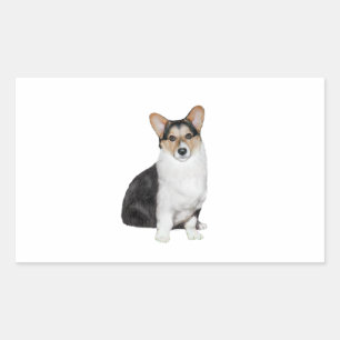 Tri Coor Welsh Corgi Sticker