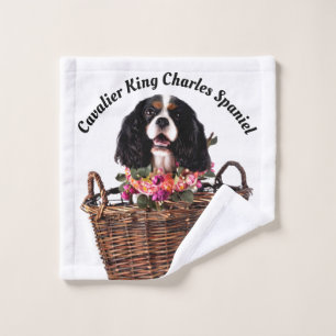Tri Couleur Cavalier King Charles Spaniel Chien
