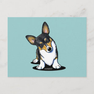 Tri Curious Corgi Postcard