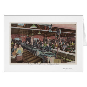 Tri et emballage usine et ouvriers (intérieur)