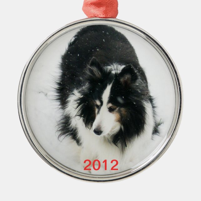Tri Sheltie in Snow Template Metal Ornament (Front)