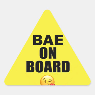 Triangulaire Bae on Board Sticker (Parodie on Baby on board)