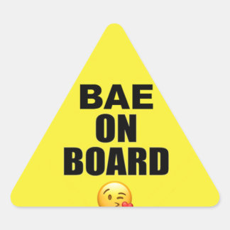 Triangulaire Bae on Board Sticker (Parodie on Baby on board)