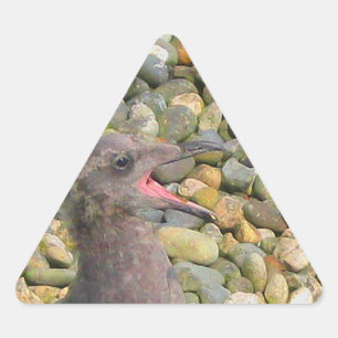 Triangulaire Sticker pour goéland de bébé affamé