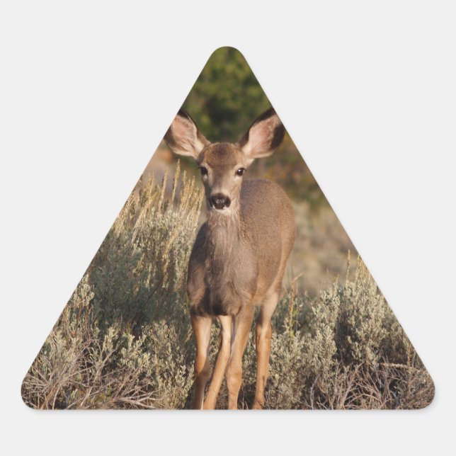 Triangulaire Sticker pour triangle de cerfs (Devant)