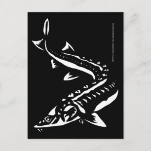 Tribal1 Postcard