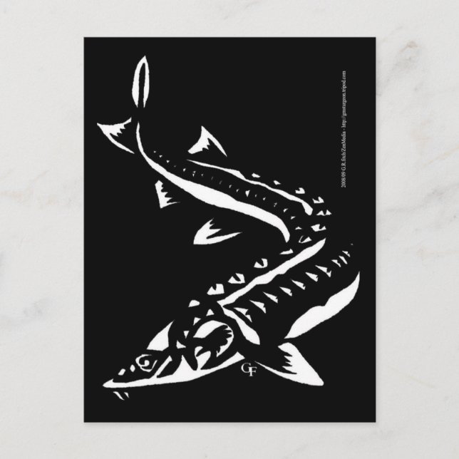 Tribal1 Postcard (Front)