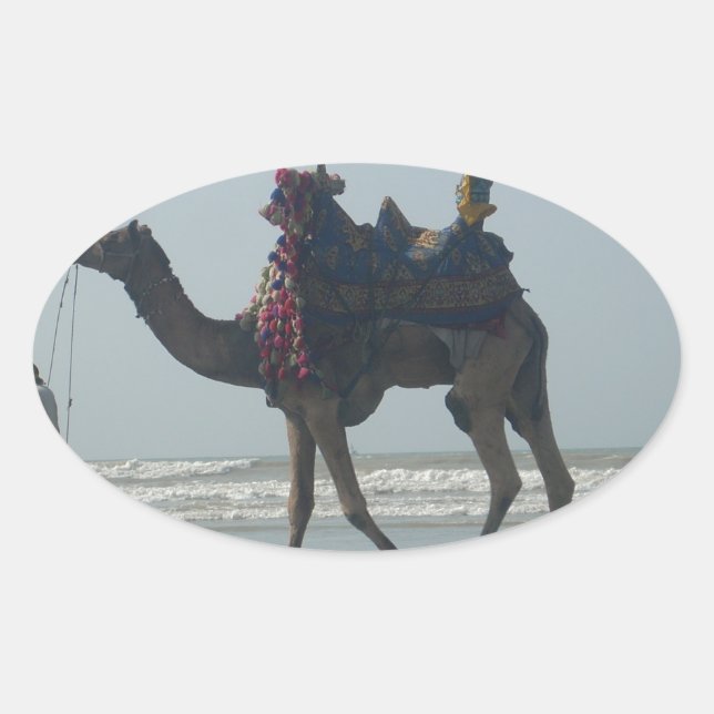 Tribal Camel Ride: Morning Tide Sands & Sea Oval Sticker (Front)