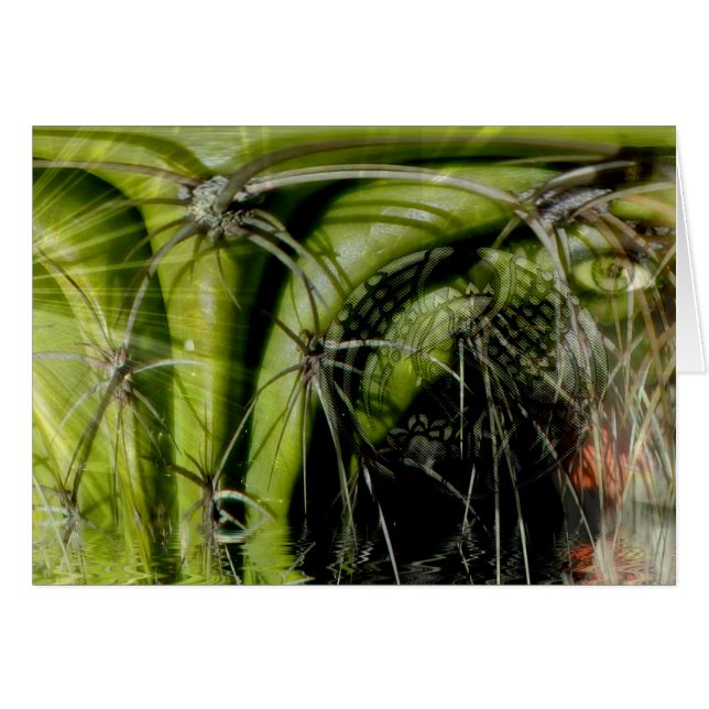 Tribal Medicine Card (Front Horizontal)