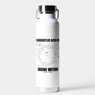 Tricarboxylic Acid Cycle Engine Within Krebs Cycle Water Bottle