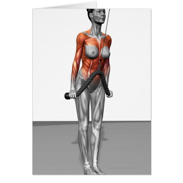 Triceps Push Downs (Front)