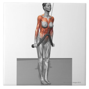 Triceps Push Downs Tile