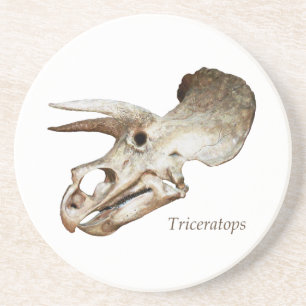 Tricératops Dessous de verre crâne