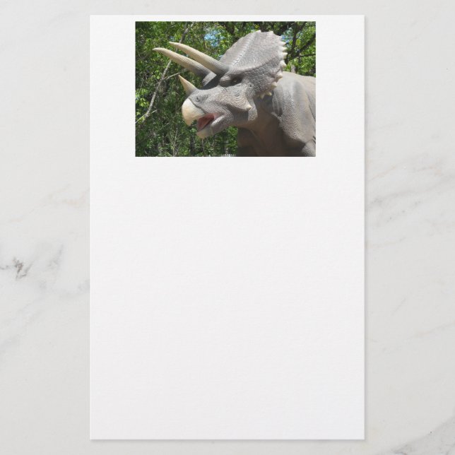 Triceratops Dinosaur Stationery (Front)