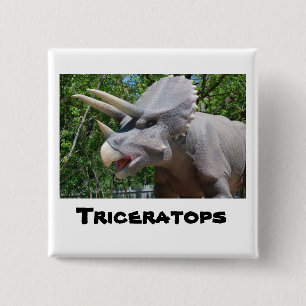 Triceratops Dinosaurs 2 Inch Square Button