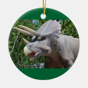 Triceratops Dinosaurs Ceramic Ornament