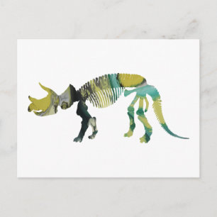 Triceratops prorsus skeleton postcard