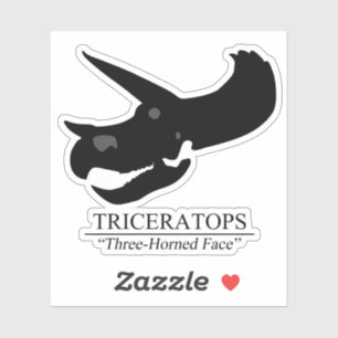Triceratops Skull