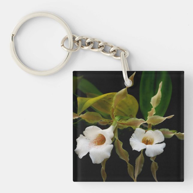 Trichopilia Tortilis Keychain (Front)