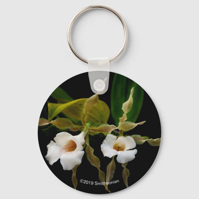 Trichopilia Tortilis Keychain (Front)