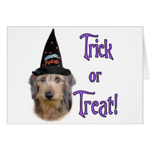Trick Dachshund (fil)