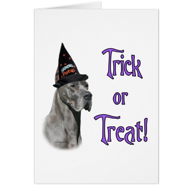 Trick de grand Danse (bleu) (Devant)