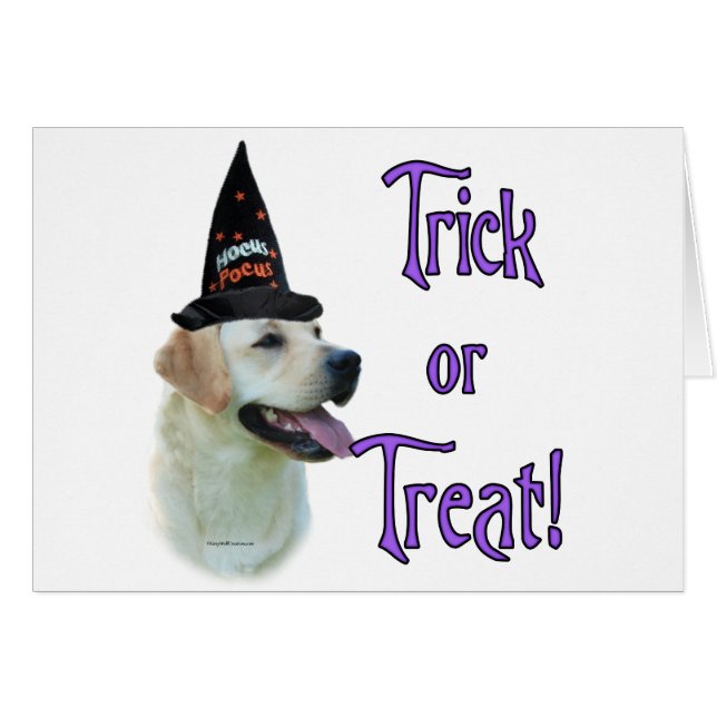 Trick de Labrador Retriever (jaune) (Devant horizontal)