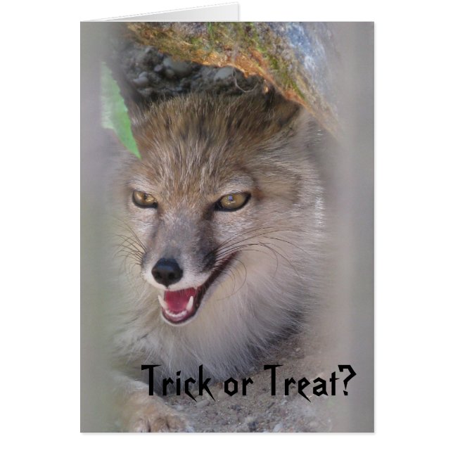 Trick Or Treat? (Front)