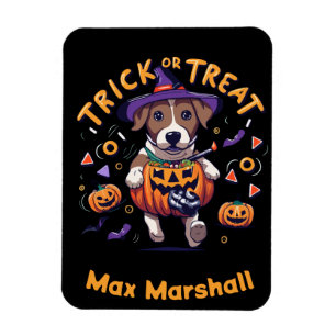 Trick or Treat Dog - Ghoul Gang Yellow Black Magnet