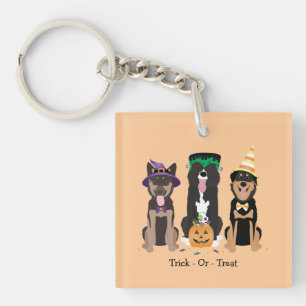 Trick Or Treat Dogs In Halloween Costumes Keychain