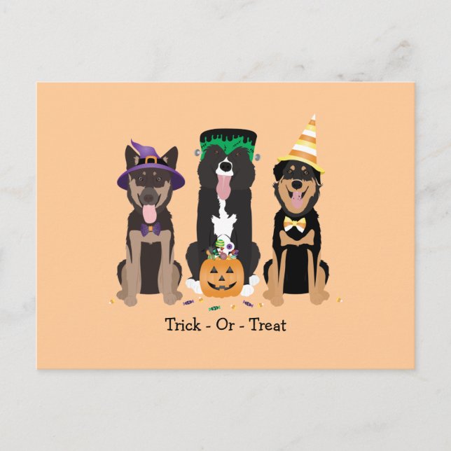 Trick Or Treat Dogs In Halloween Costumes Postcard (Front)