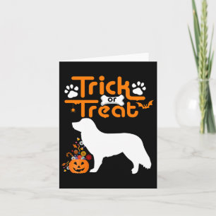 Trick Or Treat Duck Tolling Retriever Dog Hallowee Card
