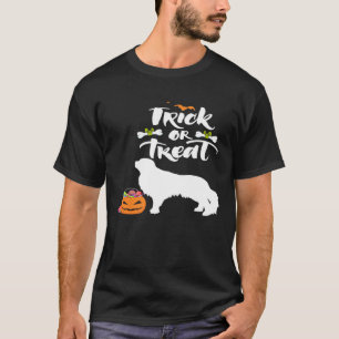 Trick Or Treat English Toy Spaniel Dog Halloween C T-Shirt